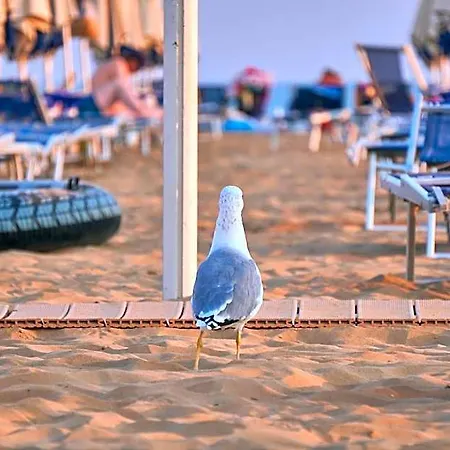 Hotel Welcoming In A Quiet And Area By Beahost Bibione