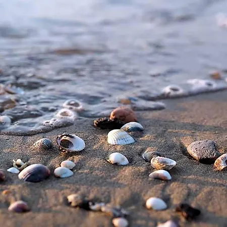Welcoming In A Quiet And Area By Beahost 3* Bibione